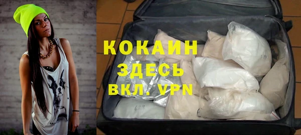 СК Алексин