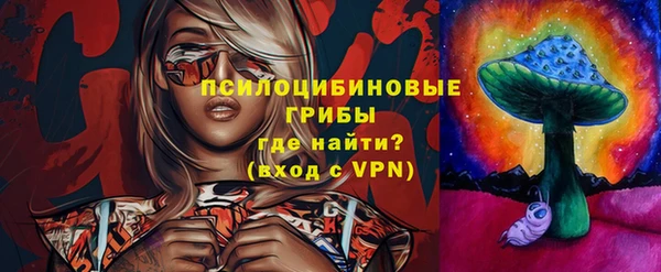 круглые Алзамай