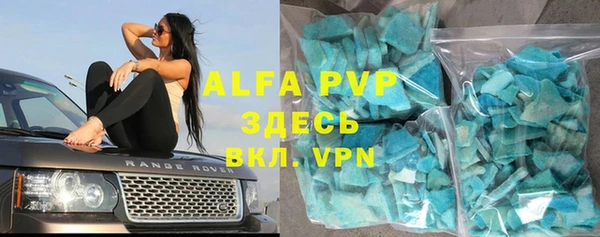 СК Алексин