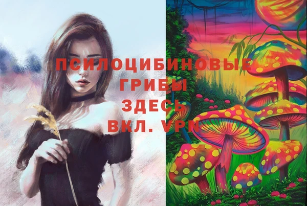 СК Алексин