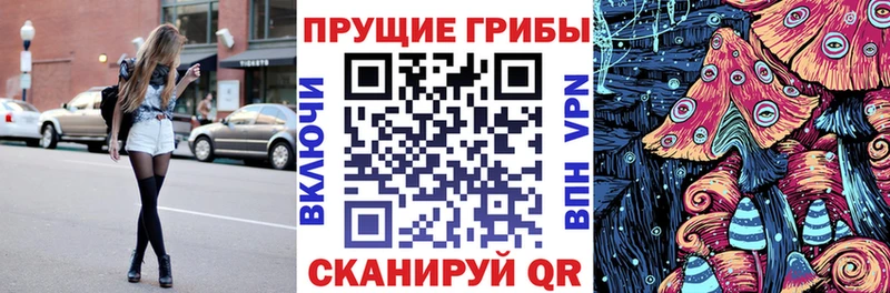 Псилоцибиновые грибы MAGIC MUSHROOMS  Талдом 